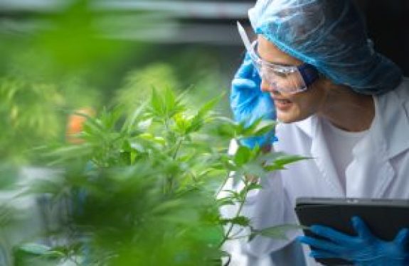 Plant Medicine Centers